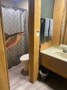 baño con ducha con cortina de ducha para gatos en Stonegate Lodge King Bed, WIFI, 50in Roku TV, Salt Water Pool Room #103, en Eureka Springs