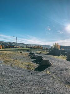 a row of rocks on the side of a road at Spørkel Landbruk in Lier