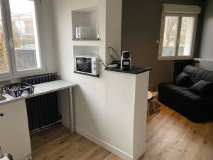 un salon avec un comptoir et un four micro-ondes dans l'établissement Henrigolant, studio cosy, à Toulouse
