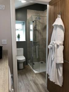 a bathroom with a shower and a toilet at Snowdrop Cottage in Seahouses