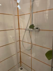 una ducha con una manguera pegada a la pared en shared Appartment , Zimmer mieten en Colonia