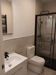 y baño con aseo, ducha y lavamanos. en Gregorio Marañón Apartment4 en Madrid