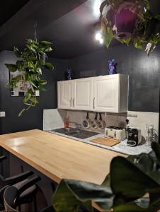 Kjøkken eller kjøkkenkrok på 1 Bed Apartment in Newington Green Village