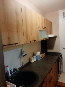 a kitchen with a sink and wooden cabinets at Dvosoban stan u širem centru in Pirot