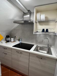 kuchnia ze zlewem i blatem w obiekcie AL 106 Apartment [Free Wi-fi 5 min dalla Stazione] w mieście Prato