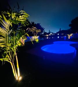 NEW Renovated luxury home with private heated pool, game room Near Anna Maria Island and IMG外面的花园