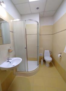uma casa de banho com um chuveiro, um lavatório e um WC. em Pensjonat Hagi em Horyniec