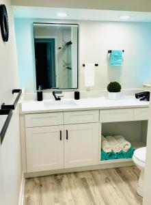 NEW Renovated luxury home with private heated pool, game room Near Anna Maria Island and IMG的一间浴室