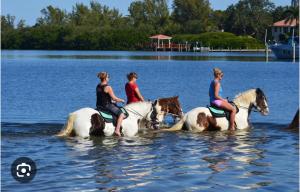 入住NEW Renovated luxury home with private heated pool, game room Near Anna Maria Island and IMG的客人