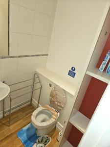 un piccolo bagno con servizi igienici con coperchio di LONDON HEATHROW GLAMOUR MANSION HOUSE a Uxbridge
