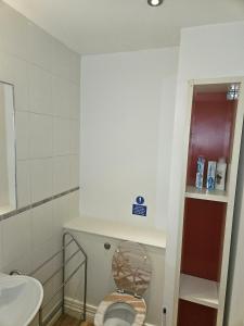 een badkamer met een toilet en een wastafel bij LONDON HEATHROW GLAMOUR MANSION HOUSE in Uxbridge