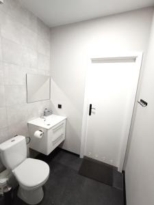 Baño blanco con aseo y lavamanos en STEELPOINT Apartament Centrum Dostęp na kod, en Łódź
