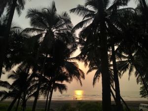 um pôr do sol visto através de palmeiras na praia em Tapsya Beach Cafe em Murūd