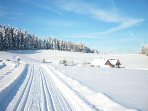 eine Person fährt eine schneebedeckte Straße hinunter in der Unterkunft Kurgarten-Hotel in Wolfach