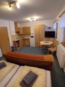 una stanza con cucina e soggiorno di Apartmány u Gothaje a Rokytnice nad Jizerou
