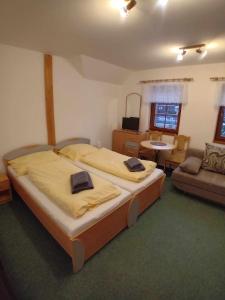 um quarto com 2 camas e uma sala de estar em Apartmány u Gothaje em Rokytnice nad Jizerou