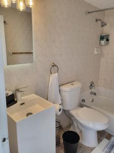 a bathroom with a white toilet and a sink at 1161 Studio 3 Miami in Miami