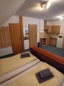 um quarto com duas camas e uma cozinha com armários em Apartmány u Gothaje em Rokytnice nad Jizerou