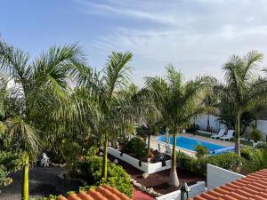 - Vistas a un complejo con piscina y palmeras en Casitas Rurales AMADOR, en Arona