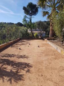 a group of birds sitting on a dirt road at Villa Alexandra in La Croix-Valmer