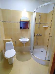 W łazience znajduje się prysznic, toaleta i umywalka. w obiekcie Pensjonat Hagi w mieście Horyniec