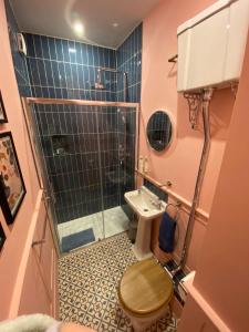 uma casa de banho com um chuveiro, um WC e um lavatório. em Petite Jessamine em St Margarets at Cliff