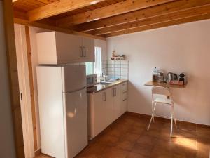una cucina con frigorifero bianco e sedia di Casitas Rurales AMADOR ad Arona