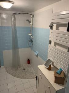 ein Bad mit Dusche und Duschvorhang in der Unterkunft Chez Nadia in Paimpol