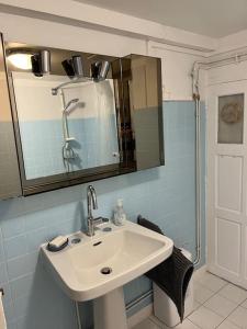 ein Bad mit einem Waschbecken und einem Spiegel in der Unterkunft Chez Nadia in Paimpol