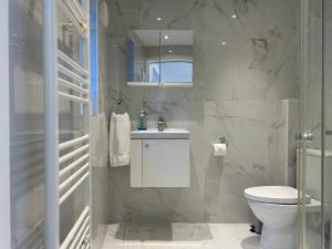 a bathroom with a white toilet and a sink at Stylish 1 Bedroom Flat with Parking in Oxford in Oxford