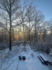 un parque cubierto de nieve con 2 bancos y árboles en Vakantiewoning Sunclass Durbuy Ardennen huisnummer 68, en Durbuy