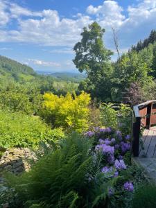 a garden with colorful flowers and a bench at Agropajda in Sokolec