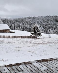 a field covered in snow with a barn and trees at Mokki in Mărişel