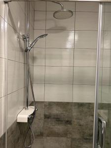 een douche met een glazen deur in de badkamer bij TINA in Karlovac