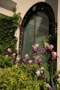 ein Fenster mit einem Haufen Blumen davor in der Unterkunft Susana Balbo Winemaker´s House in Ciudad Lujan de Cuyo