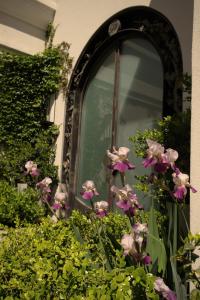 Um jardim em Susana Balbo Winemaker´s House