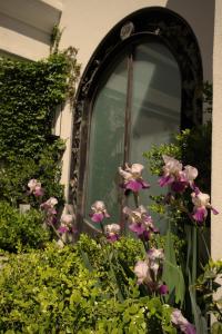 盧漢德庫約的住宿－Susana Balbo Winemaker´s House，前面有一扇窗户,上面有一堆鲜花