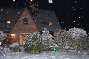 a house with a christmas tree in the snow at Holiday, party and relax vila 