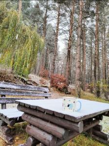 una tazza di caffè seduta sopra un tavolo da picnic di Apartament Baranek Nad Jeziorem a Gostycyn