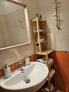 baño con lavabo, espejo y estante en Divina House, en Marino