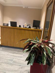 TV a/nebo společenská místnost v ubytování Hotel Gjika + 27 fotografií