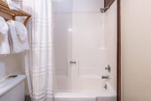 马姆莫斯湖Cozy Cabin-Style Condo in Central Location的带淋浴和浴帘的浴室
