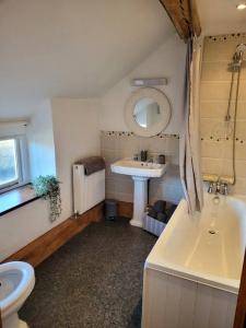 a bathroom with a sink and a tub and a toilet at Cosy modern cottage by the sea, heart of snowdonia in Llwyngwril