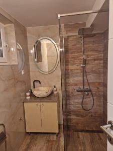 a bathroom with a shower and a mirror at small apartment for two in Brus
