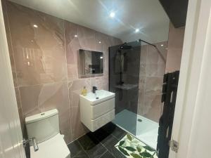 a bathroom with a toilet and a shower and a sink at Stylish Studio in Colchester