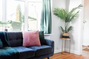 eine blaue Couch in einem Wohnzimmer mit Topfpflanze in der Unterkunft Bowling View - Stylish, Home from Home in Skipton in Skipton