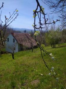 埃斯泰爾戈姆的住宿－Esztergomi Galagonyás Ház，树木繁茂的田野上的白色小房子