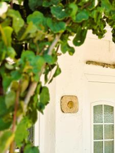 a close up of a white door with a window at Errika's Sweet Home in Provatas
