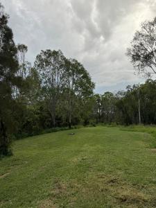 a large grass field with trees in the background at Thagoona Shady River Camp in Thagoona