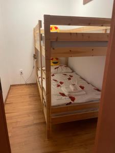 een slaapkamer met 2 stapelbedden in een kamer bij Apartman KARIN, Tále, Chopok - Juh in Bystrá